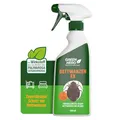 Produktbild: Green Hero Bettwanzen-Ex Spray 500 ml | Abwehrspray gegen Bettwanzen und Milben | Zur Unterstützung der Vorbeugung von Befall | Fernhaltemittel für Matratze und Bettgestell