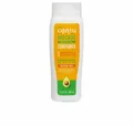 Produktbild: Cantu Haarspülung Avocado Hydrating Silicone Free 400ml