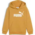 Produktbild: Puma Essentials No. 1 Logo Hoodie FL PS archive gold (62) 110