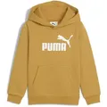Produktbild: Kapuzenpullover PUMA 