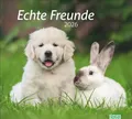 Produktbild: times&more Echte Freunde Bildkalender 2026 | Heye | Kalender | Spiralbindung