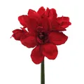 Produktbild: Kunstblume AMARYLLIS 66cm. Künstliche rote Amarillis 1 Stängel mit 4 Blüten. ROT