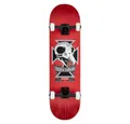 Produktbild: Birdhouse Skateboard Hawk Skull II - 8.25