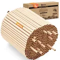 Produktbild: Nisthülsen für Insektenhotel 15 cm lang Durchmesser 6 UND 8 mm gemischt inkl. E-Book Niströhren u. Pappröhrchen für Wildbienen (Pappröhrchen, 300)