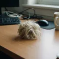 Produktbild: Haarteil Haaraccessoire Hochsteckfrisuren Volumen unordentlicher Dutt