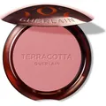 Produktbild: GUERLAIN Terracotta Blush Rouge für strahlende Haut Farbton 01 Light Pink 5 g