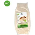 Produktbild: Flohsamenschalen indisch Bio