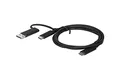 Produktbild: Lenovo HYBRID USB-C with USB-A, 4X90U90618, schwarz, 3 feet