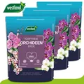 Produktbild: Westland 3 x 4L Torffreie Orchideen Erde Garten Blume Wachstum Seramis
