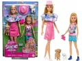 Produktbild: BARBIE DOLL STACIE DOLL set of 2 dolls + 2 dogs HRM09 Mattel