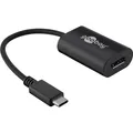 Produktbild: Goobay USB C Adapter (DP, 20 cm) (38530)