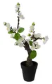 Produktbild: Kunstpflanze Kirschblütenbonsai JANTINA, Weiß, Kunststoff, Gasper, Höhe 32 cm