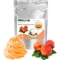 Produktbild: Nektarine Frozen Joghurt Pulver 10 kg