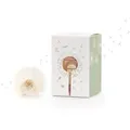 Produktbild: Wunscherfüller Geldgeschenk (Grün) von Die Stadtgärtner | Echte Pusteblume im Glas mit Geldschein-Sichtfenster | Kreative Verpackung zum Geld verschenken | Zum Geburtstag, Hochzeit, Schulabschluss