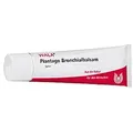 Produktbild: PLANTAGO BRONCHIALBALSAM 100 g
