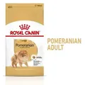 Produktbild: ROYAL CANIN Pomeranian Adult 500g Trockenfutter für ausgewachsene Pommersche Hunde