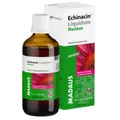 Produktbild: Echinacin® Liquidum Madaus