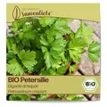 Produktbild: Samenliebe BIO Petersilie Samen Gigante di Napoli italienisch großblättrig glatt 500 Samen samenfestes Kräuter Saatgut für Küche indoor und Balkon Garten BIO Kräutersamen mehrjährig und winterhart