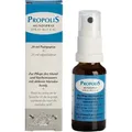 Produktbild: Propolis Manuka Honig Rachenspray 20 ml