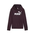 Produktbild: PUMA Damen ESS+ Metallic Logo Hoodie FL Sweat