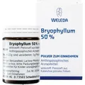Produktbild: Bryophyllum 50% Pulver zum Einnehmen 50 g