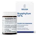 Produktbild: Bryophyllum 50% Pulver zum Einnehmen