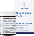 Produktbild: WELEDA AG BRYOPHYLLUM 50% Pulver zum Einnehmen 50 g 01631441