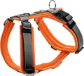 Produktbild: Hunter Hundegeschirr Maldon Up mit Griff XS-S orange/grau