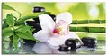 Produktbild: ARTLAND Wanddeko Leinwand Bilder Wandbild Wellness Zen Pflanze Fotografie Grün Spa Steine Bambus Zweige Orchidee T9IQ