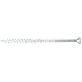 Produktbild: SCREWREBEL Holzbauschraube Tellerkopfschraube hell verzinkt mit ETA Zulassung und Torx Antrieb, (100 St), großer Kopf für hohe Klemmkraft, hohe Belastbarkeit, robust 6 x 120 mm