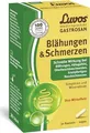 Produktbild: LUVOS Gastrosan Blähungen & Schmerzen Kapseln 30 St