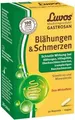 Produktbild: LUVOS Gastrosan Blähungen & Schmerzen Kapseln 30 St