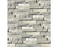 Produktbild: Wandverblender Naturstein Beige-Mix 40/10