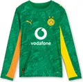 Produktbild: Puma Bvb Gk Jersey Replica Ls Jr With Sponsor - archive green-intense orange, Größe:128