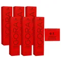 Produktbild: Schwarzkopf Igora Royal 6 x 60 ml 9-1 extra hellblond cendre Haarfarbe Cremefarb
