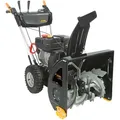Produktbild: Benzin-Schneefräse ALPINA-GARDEN 