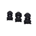 Produktbild: Nemesis Now Three Wise Labrador, Schwarz, 8,5 cm, B5881V2