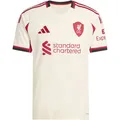 Produktbild: ADIDAS Herren Trikot Liverpool FC 25/26 Auswärts