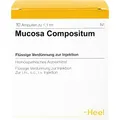 Produktbild: MUCOSA compositum Ampullen 10 St