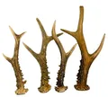 Produktbild: RF - Deer Natürliches Rehbockgeweih, Kleiderhaken, Möbelgriff, Besteckgriff, Hundespielzeug, Umweltfreundliche Verpackung, Dekoration aus Geweihen, Angebot betrifft 1 kg, 11-20 Stück, 12-23 cm