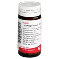 Produktbild: CARTILAGO comp Globuli 20 g