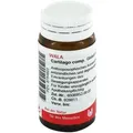 Produktbild: Cartilago Comp.globuli