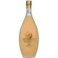 Produktbild: Bottega Crema di MELONCINO Cream Liqueur 15% Vol. 0,5l