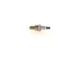 Produktbild: Für BOSCH 0 242 050 510 SPARK PLUG OF SCREENS.