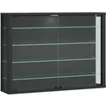 Produktbild: Wandvitrine Glasvitrine Vitrosa L