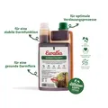 Produktbild: 1L Ewalia Darmvitalsaft  für Pferde Kräutersaft  für die Darmfunktion