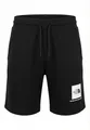Produktbild: The North Face Herren Box NSE Light Regular Shorts, TNF Black, S