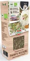 Produktbild: (EUR 3,50/ 100 g ) Sperli Bio Keimsprossen Pikante Mischung  Großpackung 85028
