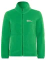Produktbild: Jack Wolfskin Jungen Taunus, Mystic Green, 152 EU