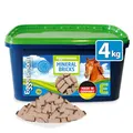 Produktbild: Eggersmann Mein Pferdefutter Mineral Bricks 4 kg - Mineralfutter für Pferde - Zur Unterstützung des Stoffwechsels & Immunsystems - Pferdefutter mit Mineralstoffen & Vitaminen